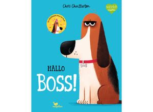 9783734820861 - Hallo Boss! - Chris Chatterton Taschenbuch