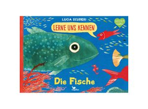 9783734860058 - Die Fische   Lerne uns kennen Bd1 - Lucia Scuderi Gebunden