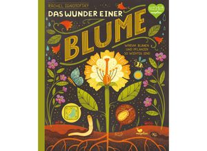 9783734860515 - Das Wunder einer Blume - Warum Blumen und Pflanzen so wichtig sind - Rachel Ignotofsky Gebunden