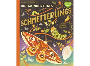 9783734860645 - Das Wunder eines Schmetterlings - Wie sich die Natur verwandelt - Rachel Ignotofsky Gebunden