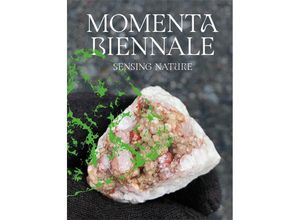 9783735607874 - MOMENTA Biennale de limage Gebunden