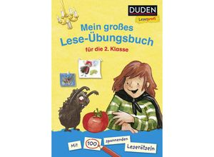 9783737332057 - Duden Leseprofi - Mein großes Lese-Übungsbuch für die 2 Klasse - Christine Goppel Bernhard Hagemann Kartoniert (TB)