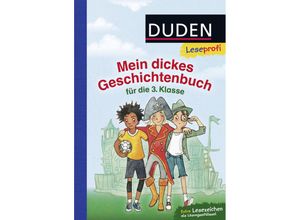 9783737333184 - Duden Leseprofi - Mein dickes Geschichtenbuch für die 3 Klasse - Bernhard Hagemann Jutta Wilke Luise Holthausen Sabine Rahn Gebunden