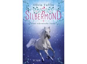 9783737342032 - Eine stürmische Nacht   Silbermond Bd2 - Olivia Tuffin Gebunden