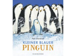 9783737354394 - Kleiner blauer Pinguin - Petr Horácek Pappband