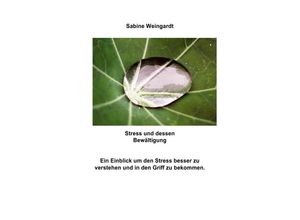 9783737515832 - Stress und dessen Bewältigung - Sabine Weingardt Kartoniert (TB) 9783737515832 - Stress und dessen Bewältigung - Sabine Weingardt Kartoniert (TB)