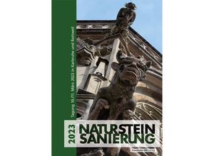 9783738808025 - Natursteinsanierung 2023 Kartoniert (TB)