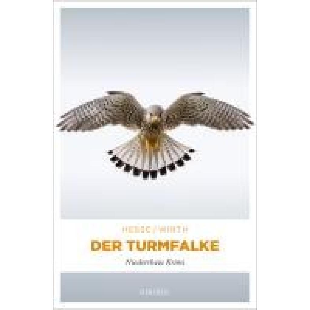 9783740821043 - Hesse Thomas Der Turmfalke