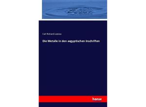 9783741126994 - Die Metalle in den aegyptischen Inschriften - Carl Richard Lepsius Kartoniert (TB)