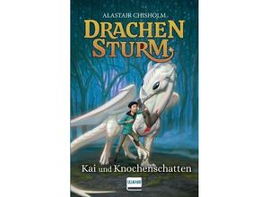 9783741527258 - Drachensturm - Kai und Knochenschatten - Alastair Chisholm Gebunden