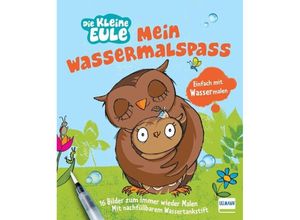 9783741527579 - Mein Wassermalspaß - Die kleine Eule - Susanne Weber Gebunden