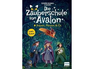 9783741527630 - Die Zauberschule von Avalon - Katzen Pannen & Co - Catherine Kalengula Gebunden