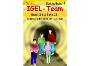 9783741850158 - IGEL-Team Sammelband 4 - Heike Noll Kartoniert (TB)