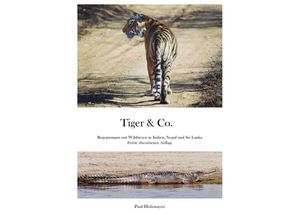 9783741858505 - Tiger & Co - Paul Holzmayer Kartoniert (TB)