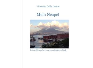 9783741872242 - Mein Neapel - Vincenzo Delle Donne Kartoniert (TB)