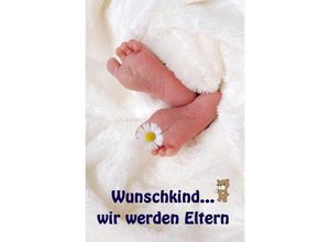 9783741880148 - Jenny Meier - GEBRAUCHT Wunschkindwir werden Eltern Alles rund um Schwangerschaft Geburt und Babyschlaf! (Schwangerschafts-Ratgeber) - Preis vom 19112023 061210 h