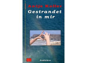 9783741891359 - Gestrandet in mir - Antje Koller Kartoniert (TB)