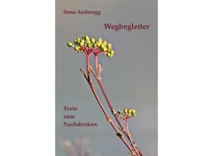 9783741895746 - Wegbegleiter - Ilona Anderegg Kartoniert (TB)