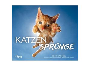 9783742311719 - Katzensprünge - Seth Casteel Gebunden