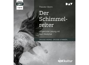 9783742415332 - Große Werke Große Stimmen - Der Schimmelreiter1 Audio-CD 1 MP3 - Theodor Storm (Hörbuch)