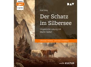 9783742429568 - Der Schatz im Silbersee2 Audio-CD 2 MP3 - Karl May (Hörbuch)