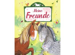 9783743203051 - Eintragbücher   Meine Freunde (Ponys) Gebunden