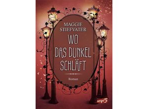 9783743213739 - Wo das Dunkel schläft   Raven Cycle Bd4 - Maggie Stiefvater Gebunden