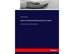 9783743399204 - History of Protestant Nonconformity in Wales - Thomas Rees Kartoniert (TB)