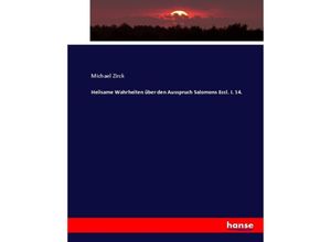 9783743437739 - Heilsame Wahrheiten über den Ausspruch Salomons Eccl I 14 - Michael Zirck Kartoniert (TB)