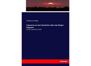 9783743476974 - Fragmente aus dem häuslichen Leben des Bürgers Klugmann - Johannes Ludwig Kartoniert (TB)