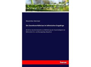 9783743487451 - Die Erwerbsverhältnisse im böhmischen Erzgebirge - Maximilian Dormizer Kartoniert (TB)