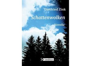 9783743918429 - Schattenwolken - Dietfried Zink Kartoniert (TB)