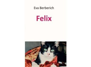 9783743981638 - Felix - Eva Berberich Kartoniert (TB)