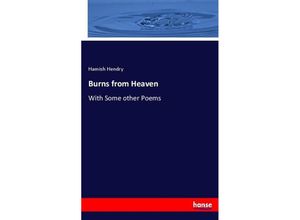 9783744711432 - Burns from Heaven - Hamish Hendry Kartoniert (TB)