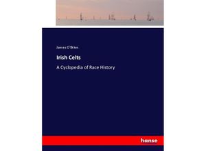 9783744729987 - Irish Celts Kartoniert (TB)