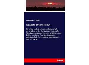 9783744751131 - Newgate of Connecticut - Richard Harvey Phelps Kartoniert (TB)