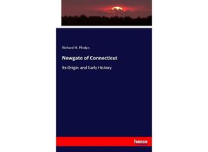 9783744754798 - Newgate of Connecticut - Richard H Phelps Kartoniert (TB)