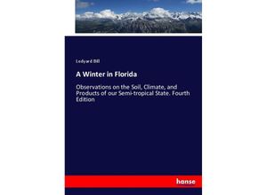 9783744757386 - A Winter in Florida - Ledyard Bill Kartoniert (TB)