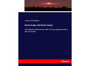 9783744761406 - Street Arabs and Gutter Snipes - George Carter Needham Kartoniert (TB)