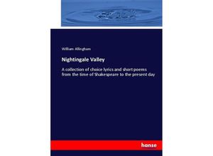 9783744780230 - Nightingale Valley - William Allingham Kartoniert (TB)