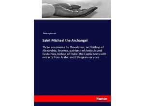 9783744795272 - Saint Michael the Archangel - James Payn Kartoniert (TB)