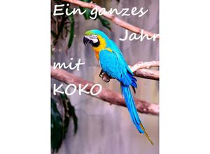 9783745008777 - Ein ganzes Jahr mit Koko - Rosi Fee Kartoniert (TB)