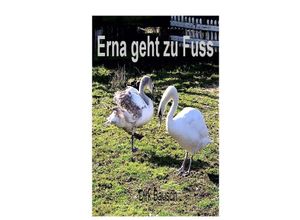 9783745014853 - Erna geht zu Fuss - Dirk Bausch Kartoniert (TB)