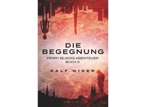 9783745048551 - Die Begegnung - Ralf Wider Kartoniert (TB)