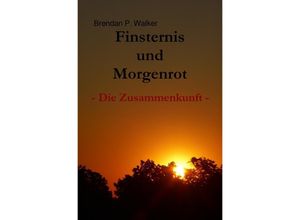 9783745055443 - Finsternis und Morgenrot - Brendan P Walker Kartoniert (TB)