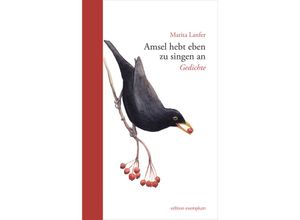 9783745511536 - Edition Exemplum   Amsel hebt eben zu singen an - Lanfer Marita Kartoniert (TB)