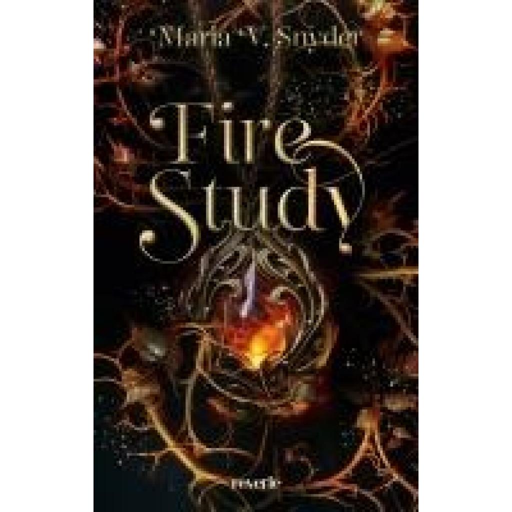 9783745704624 - Snyder Maria V Fire Study