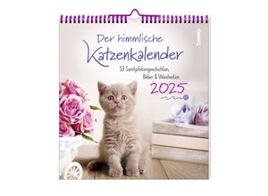 9783746264813 - Der himmlische Katzenkalender 2025