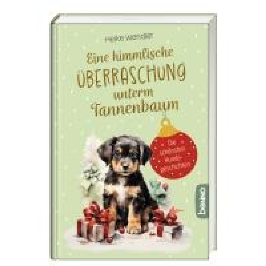 9783746266350 - Wendler Heike Eine himmlische Überraschung unterm Tannenbaum