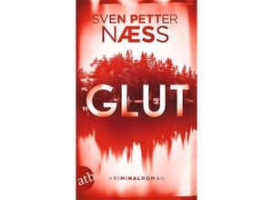 9783746640358 - Glut   Team Oslo ermittelt Bd1 - Sven Petter Naess Taschenbuch